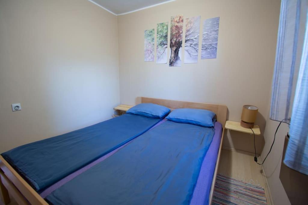 Semesterbostad Happy House Velika Remeta