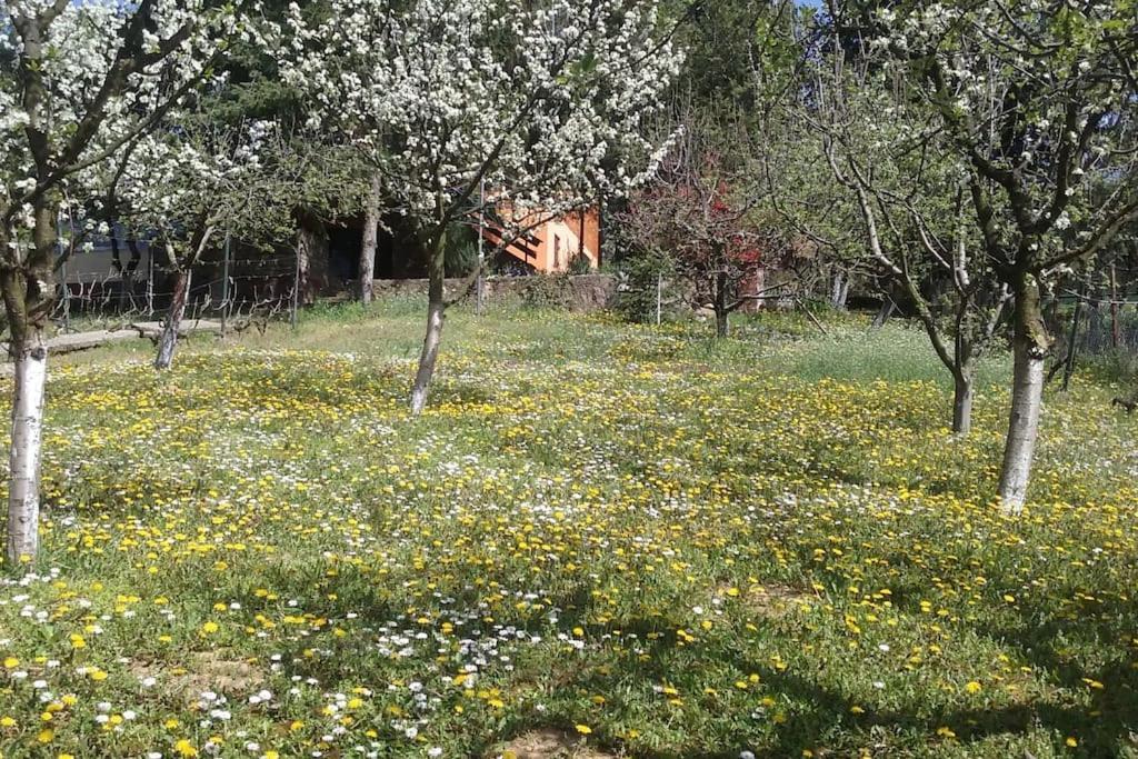 Semesterbostad Happy House Velika Remeta